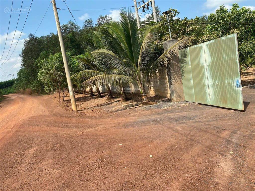 Bán xưởng 2,8ha, điện 250kva, phù hợp sản xuất và canh tác nông sản