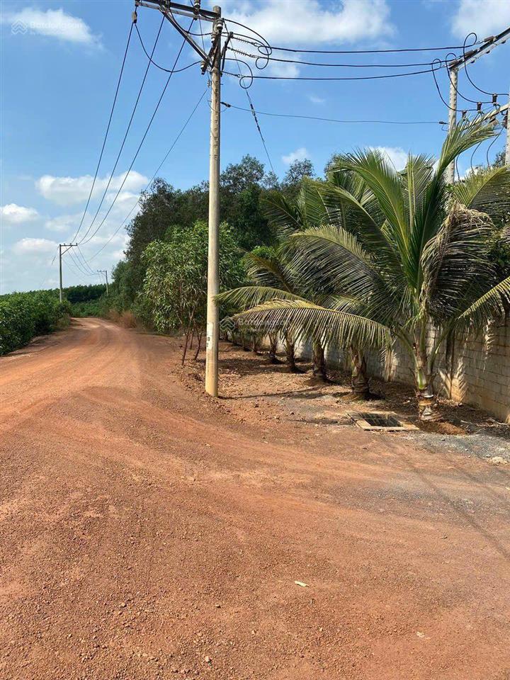 Bán xưởng 2,8ha, điện 250kva, phù hợp sản xuất và canh tác nông sản