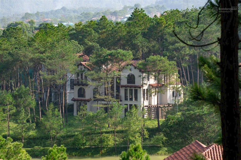 [chuyển nhượng không chênh]biệt thự đơn lập luxury view rừng thông đà lạt thanh xuan valley 41 tỷ