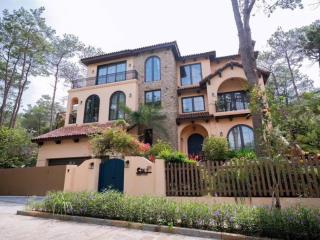 [chuyển nhượng không chênh]biệt thự đơn lập luxury view rừng thông đà lạt thanh xuan valley 41 tỷ