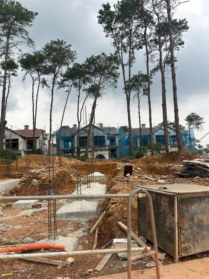 [chuyển nhượng không chênh]biệt thự đơn lập luxury view rừng thông đà lạt thanh xuan valley 41 tỷ