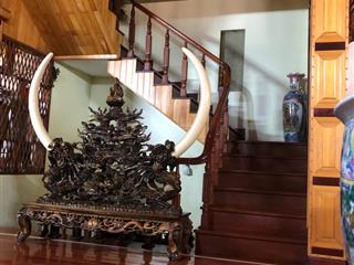 Biệt thự kđt vĩnh hoàng, view hồ lộng gió, dt 220m, 5 tầng mặt tiền 12m, vỉa hè rộng như sân bóng