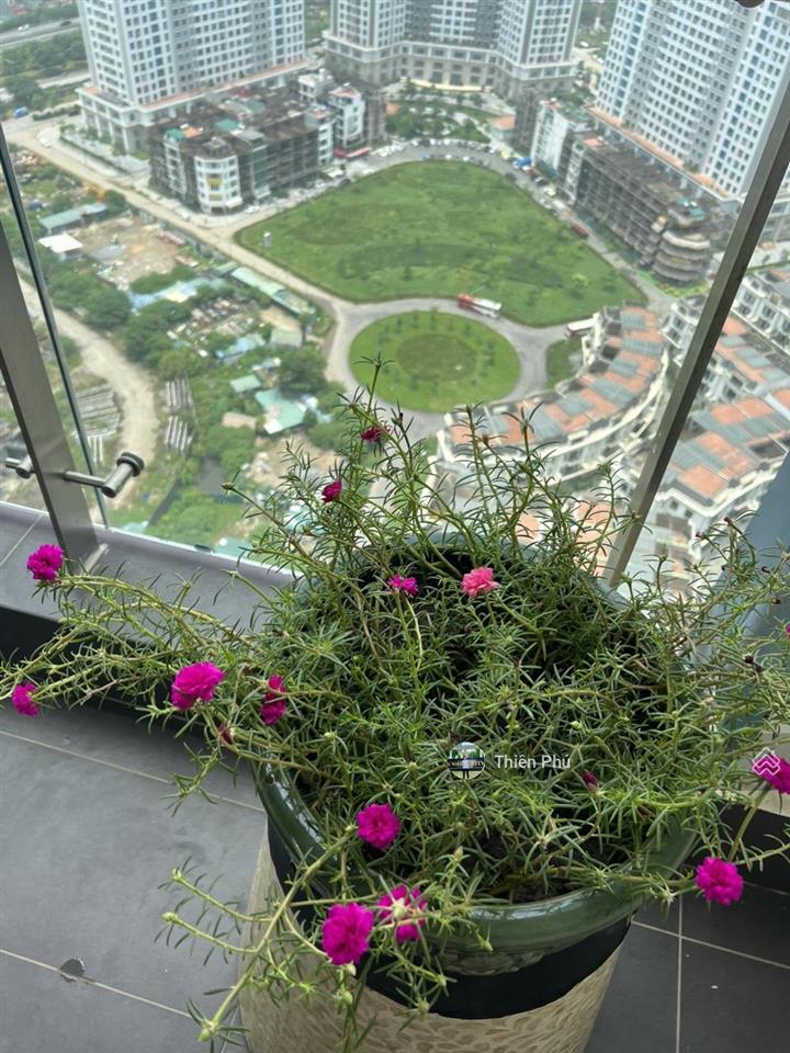 Duplex 161m² tòa s6 sunshine city full nội thất giá chỉ 16,5 tỷ bao phí, đã có sổ!