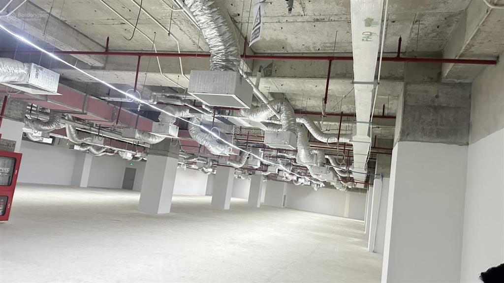 Văn phòng 5 sao 999m2 giá chỉ 499k