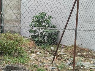 Lô đất hẻm ô tô lâm văn bền dt 60m (4.7mx 12) 6.9 tỷ phường tân kiểng quận 7