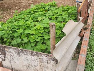Bán đất yên nghĩa, hà đông, 30m2, ngõ rộng, cách đường ô tô tránh chỉ 10m, siêu rẻ chỉ nhỉnh 2 tỷ