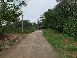 Bán đất view đẹp tại phú trung, phú riềng  7,6 tỷ, 19500 m2