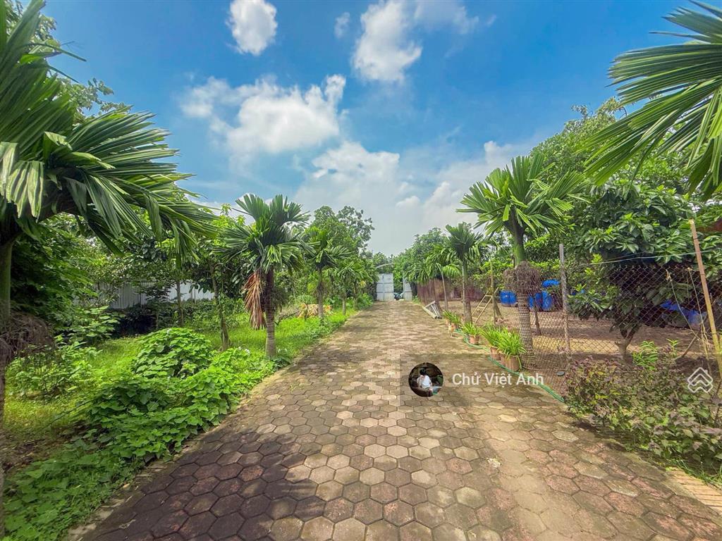 Biệt thự nhà vườn nghỉ dưỡng  sum họp gia đình  9.5tỷ mua đất tặng nhà  tiềm năng chuyển đổi cao