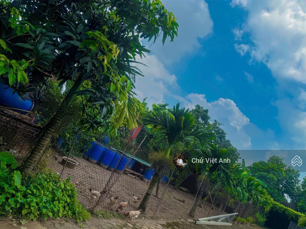 Biệt thự nhà vườn nghỉ dưỡng  sum họp gia đình  9.5tỷ mua đất tặng nhà  tiềm năng chuyển đổi cao