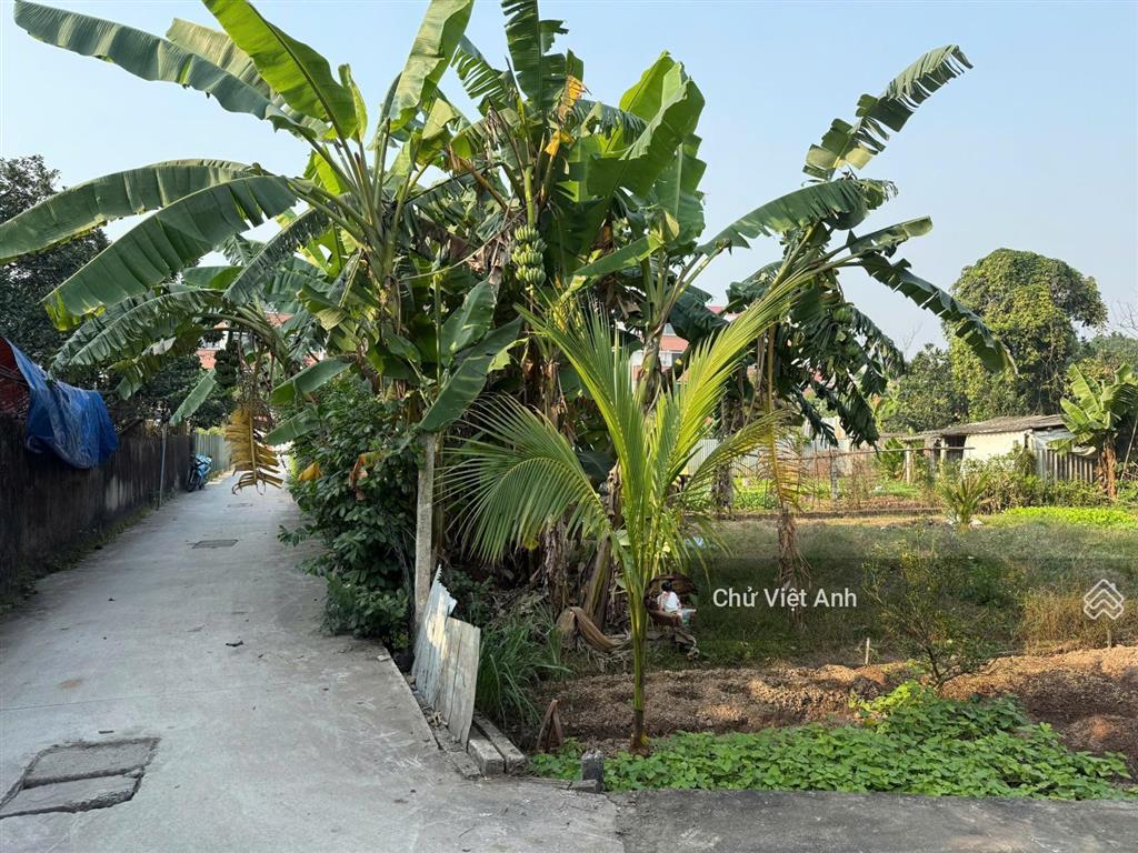 Chủ cực mót  chỉ hơn 2.8 tỷ  240m2 đất nông nghiệp đã có quy hoạch lên thổ cư  ô tô đỗ cửa