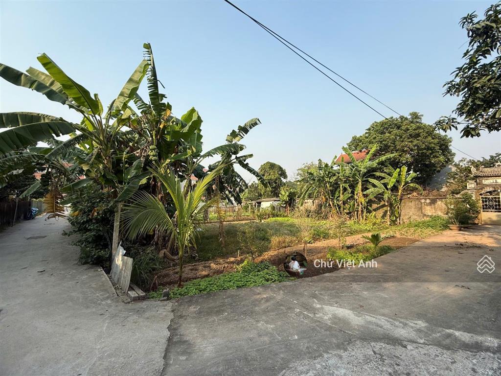 Chủ cực mót  chỉ hơn 2.8 tỷ  240m2 đất nông nghiệp đã có quy hoạch lên thổ cư  ô tô đỗ cửa