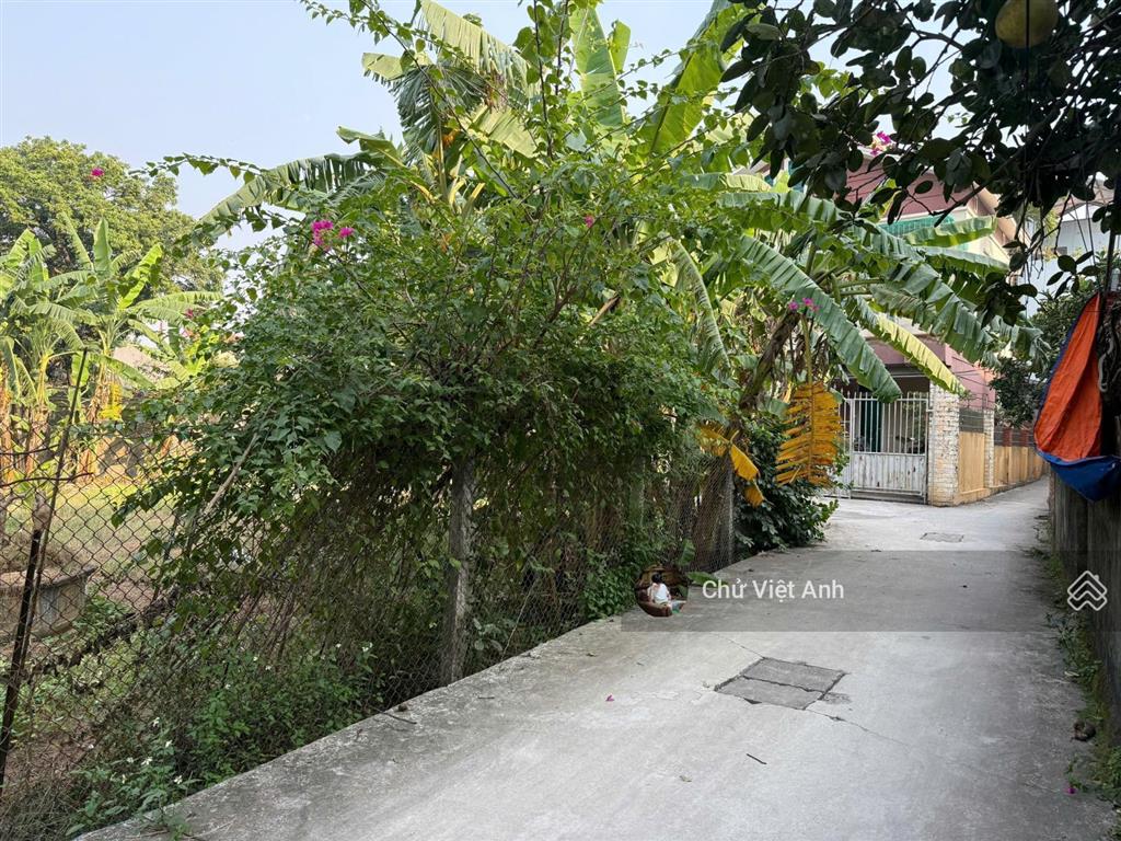 Chủ cực mót  chỉ hơn 2.8 tỷ  240m2 đất nông nghiệp đã có quy hoạch lên thổ cư  ô tô đỗ cửa