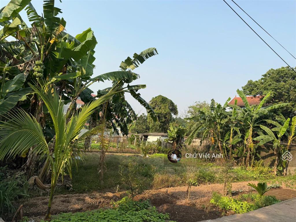 Chủ cực mót  chỉ hơn 2.8 tỷ  240m2 đất nông nghiệp đã có quy hoạch lên thổ cư  ô tô đỗ cửa