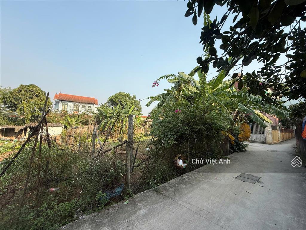 Chủ cực mót  chỉ hơn 2.8 tỷ  240m2 đất nông nghiệp đã có quy hoạch lên thổ cư  ô tô đỗ cửa