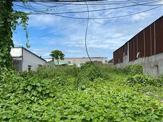 Ngộp lúa bán đất tại bờ chùa, tân quý tây, bình chánh, 1,1 tỷ, 100 m2  hàng hiếm