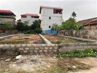 Bán gấp đất nền 110m2 tại xã cao xuân dương, 2,75 tỷ