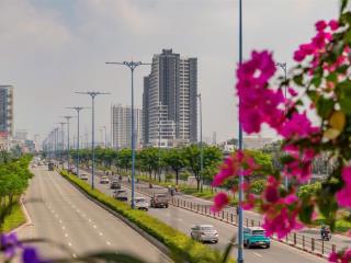 Giỏ hàng sh daqua mua trực tiếp cđt  ck 14% + 500tr  cam kết thuê ngay tt 30% nhận bàn giao