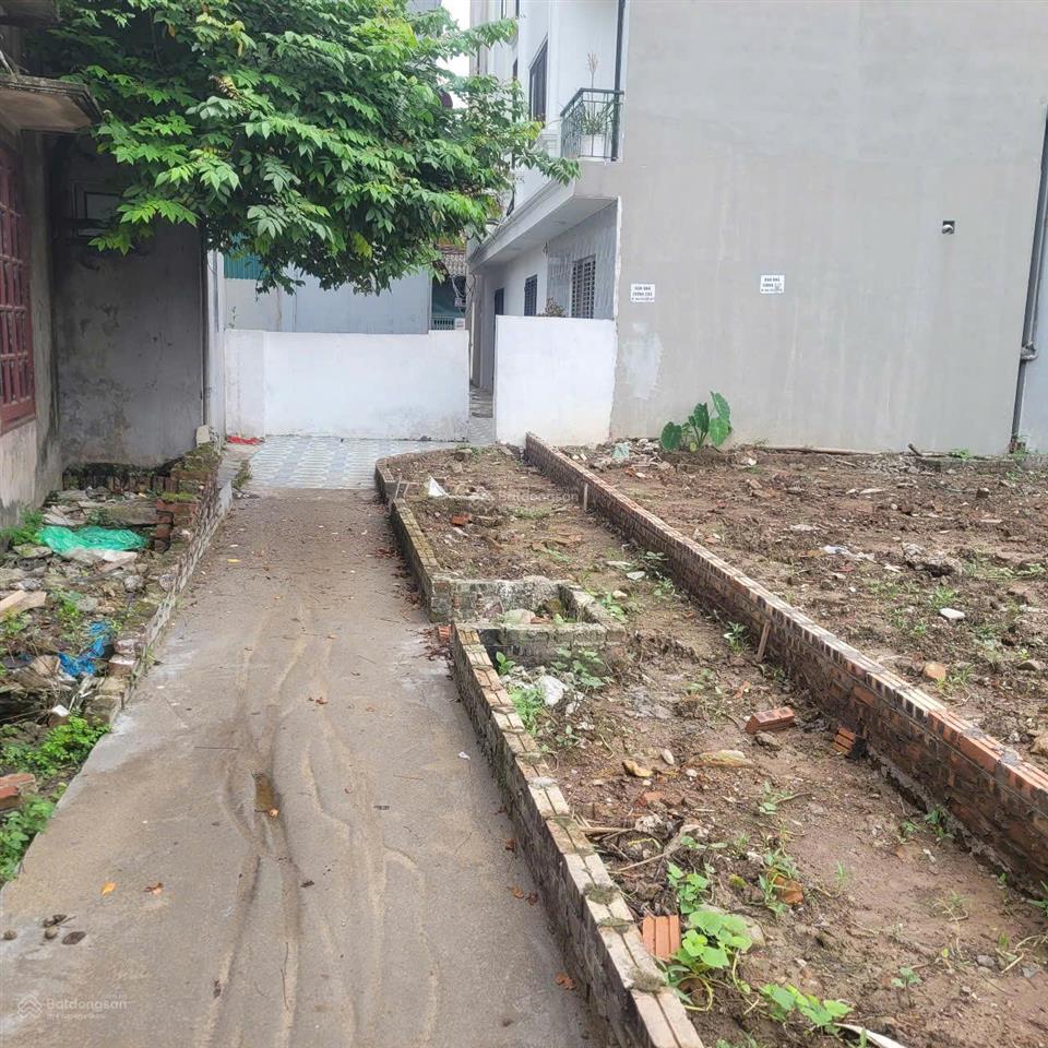 Bán đất thạch bàn phân lô ô tô view hồ 51m2, mt 4m giá 6.5 tỷ