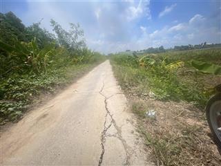 A trai cần tiền lấy vợ nên bán gấp lô đất đẹp tại kiến tường thích hợp kinh doanh hoặc xây nhà ở