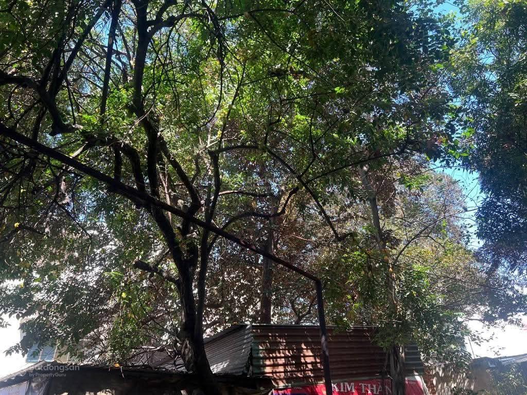 1000mđất mặt tiền kinh doanh trung tâm gò vấp nguyễn văn nghi xây biệt thự toà nhà văn phòng.128