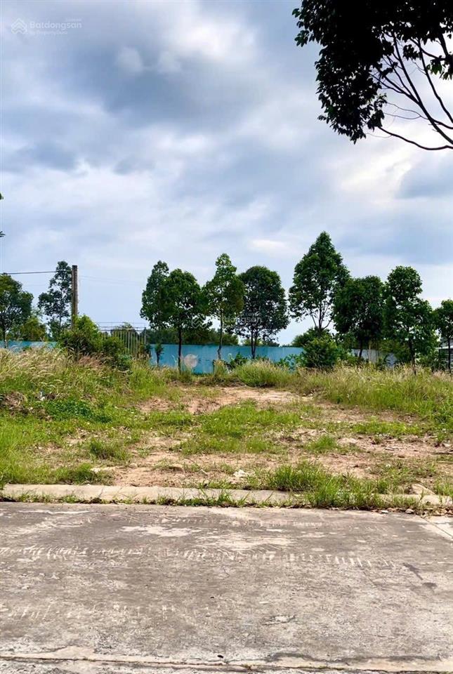 Bán đất 300m2 tại phường thái hoà giá 800 triệu đang cho thuê 15triệu/tháng gần kcn.
