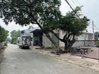 Nhà chínhchủ cho thuê lâu dài, sẵn điện 3 pha, gần cao tốc mỹ phước tân vạn, đường xe tải thuận lợi