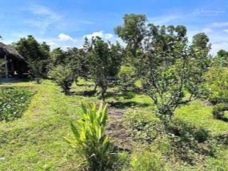 Cần bán nhanh miếng đất 420m2 shr