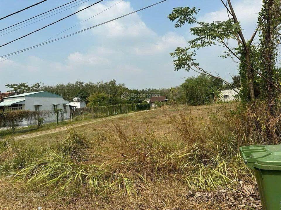 Bán nhanh lô đất 590tr, mt đường hàm nghi, phường 5, thành phố bạc liêu gần công viên phường 5