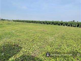 Cần bán gấp đất xã tân điền, gò công đông, tiền giang gần biển tân thành,150m2/1,4 tỷ, shr, thổ cư