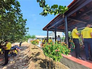 Chủ ngộp cần bán gấp đất vườn 2092m2 được tặng vườn bưởi đang thu hoạch, có thu nhập hàng tháng