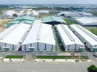E chíh chủ cần bán tại kcn thạch quảng 250m350tr