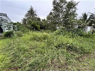 Cần bán đất tại xã hiệp hòa, cầu ngang, trà vinh, 650 triệu, 516.5 m2