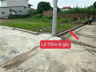Lô góc siêu đẹp hiếm tại khu hot! 115m full thổ cư, mt & hậu 8.5m, lô góc vuông vắn