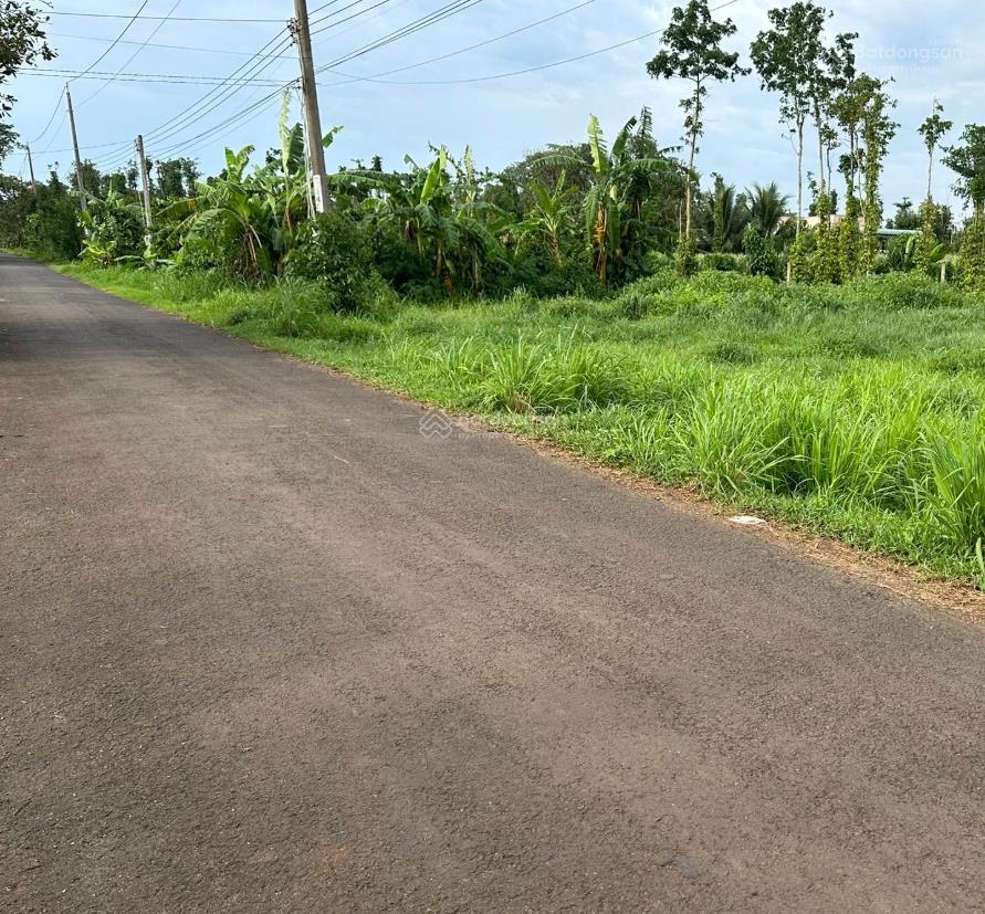 Đất đẹp vị trí tiềm năng sổ sẵn công chứng ngay