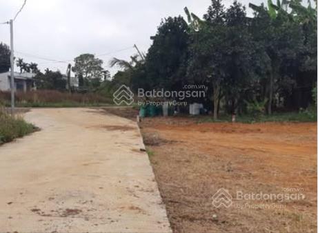 Đất rộng phủ hồng, mặt tiền đẹp, dân cư kín láng lớn, châu đức