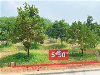 Vườn mít sẵn 100m2 thổ cư nằm sát bên chợ an linh giá đúng 425tr