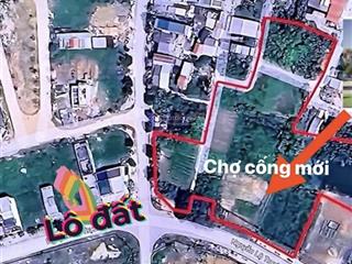 Cần bán lô đất ở nguyễn lộ trạch sát khu dự án chợ cống mới