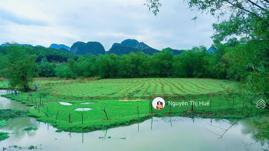 Sốc chỉ 799tr có ngay 262m² đất đô thị tại tt chi nê lạc thủy hòa bình