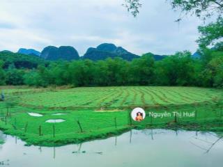 Sốc chỉ 799tr có ngay 262m² đất đô thị tại tt chi nê lạc thủy hòa bình