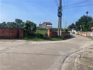 Bán đất 985m2 giá 16 tỷ tại đường 131, tân minh, sóc sơn, hà nội bao đẹp