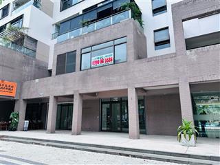 Cho thuê mặt bằng mặt tiền đường tôn dật tiên khu kênh đào, phú mỹ hưng, quận 7