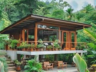 Đất nền nghỉ dưỡng diện tích 1000 m² có không gian xanh, suối tự nhiên, view cực thư giản