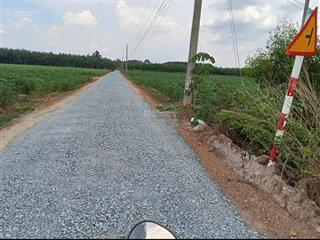 Chủ cần bán 9 mẫu đất 2 mt tại ninh điền, châu thành, 360m mt