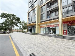 Shophouse vinhomes ocean park vị trí cực đỉnh
