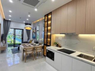 Thanh xuân rực rỡ vững vàng an cư   vững bước an cư cùng cielo chỉ với 299 triệu