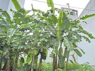 Cần tiền bán gấp đất dv khu c yên nghĩa đường to ô tô tránh diện tích 50 m2, giá chỉ 11 tỷ