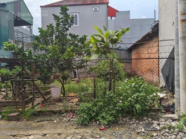 Đất bắc hồng (đông anh), phúc thịnh, 46m2, mt 4.5m, 2.75 tỷ, ô tô