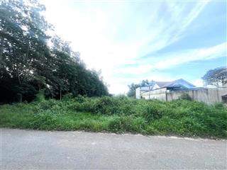 Cần bán đất trồng cây lâu năm diện tích 774,3 m² cách mptv 70m   0967 442 *** chính chủ