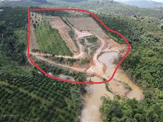 Chính chủ bán gấp 2.5ha đất rẫy có nhà view gia nghĩa, đăk nông nay tỉnh lâm đồng  giá 5tỷ