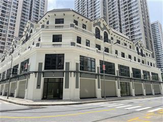 Chính chủ cho thuê shophouse vinsmart city